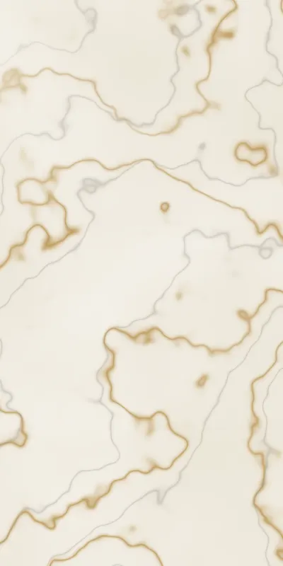 Design 02 MG Mery Gold – 2×4 PGVT tile